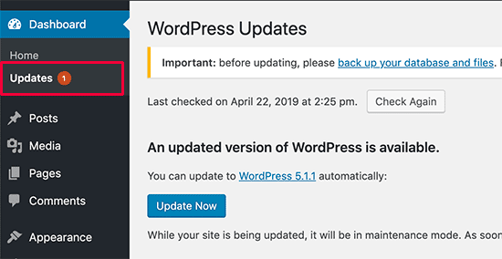 Update Now option in WordPress dashboard