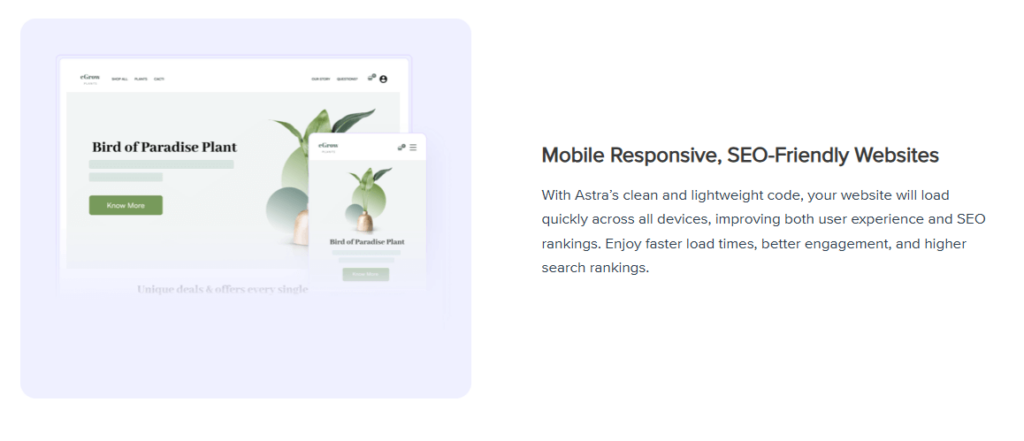 10 WordPress Themes for Programmer [Latest 2025]