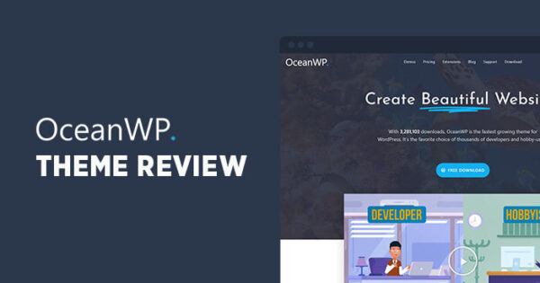10 WordPress Themes for Programmer [Latest 2025]